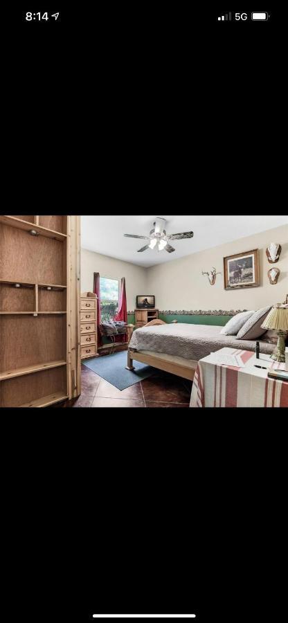 利文斯顿Little House On The Corner公寓 外观 照片
